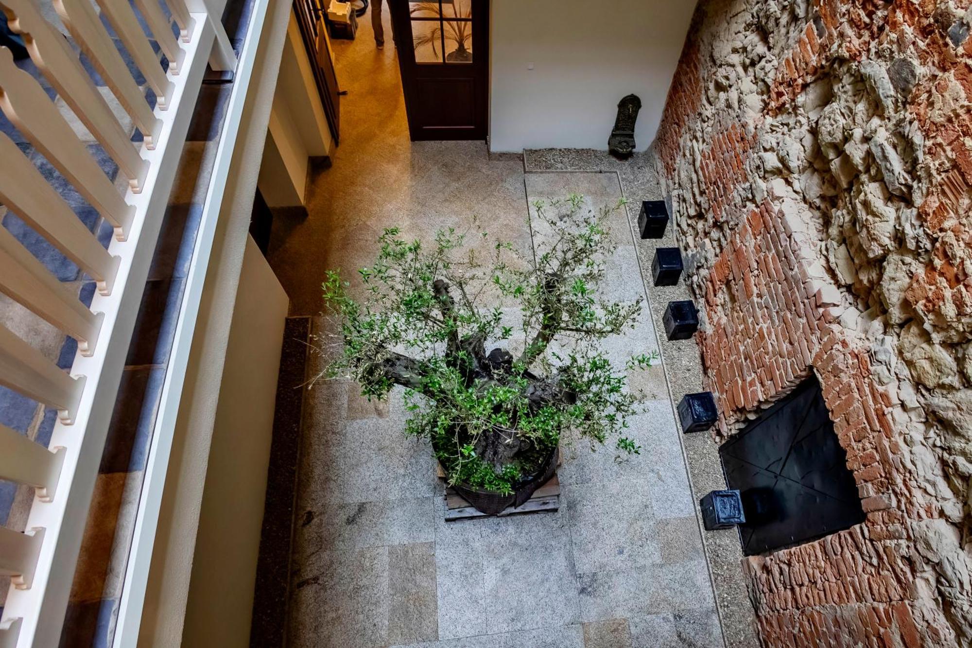 Lubartowska 19 Apartamenty ลูบลิน ภายนอก รูปภาพ